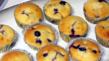 muffins myrtilles